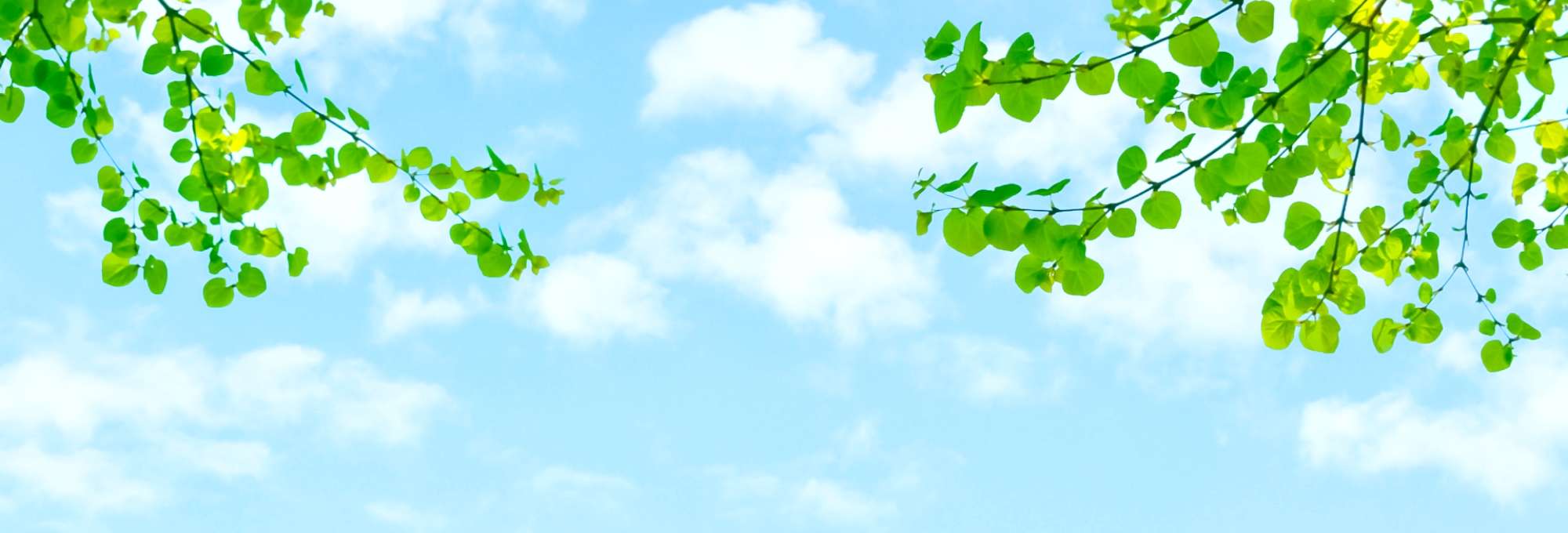 キービジュアルイメージ